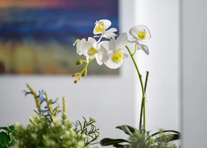 Julian 2 Bed * Ларнака